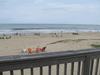 Image 49 (Beach_2015_144_small.gif) for directory Beach 2015.