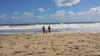 Random User Pic Beach_2015_29.gif for the year 2015 directory Beach 2015