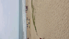 Image 120 (Beach_2015_39_small.gif) for directory Beach 2015.