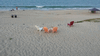 Image 142 (Beach_2015_59_small.gif) for directory Beach 2015.